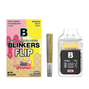 blinkers 2g